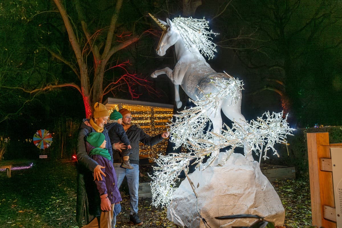 atrakcje ogród świetlny